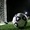 ФК Рышкань - Саксан 0:6